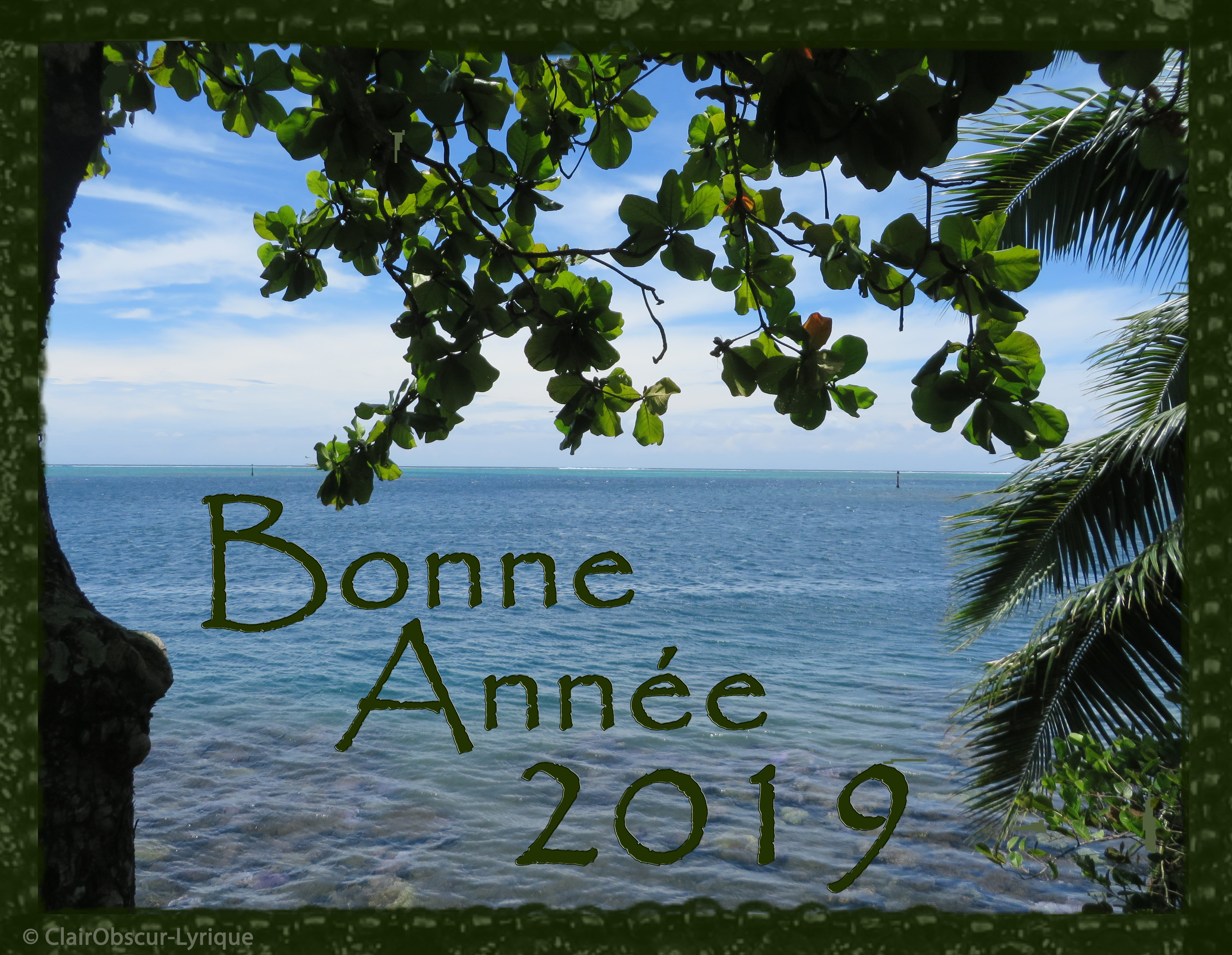 Bonne Année 2019